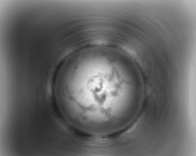 X0000088650347200706011225