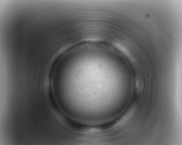 X0000088650348200706011225