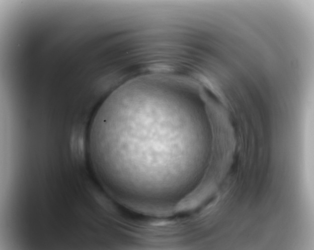 X0000088650349200706011225