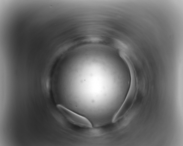 X0000088650350200706011225