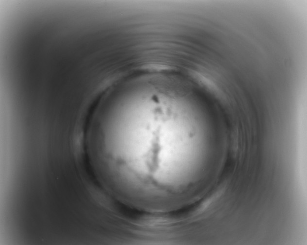 X0000088650351200706011225