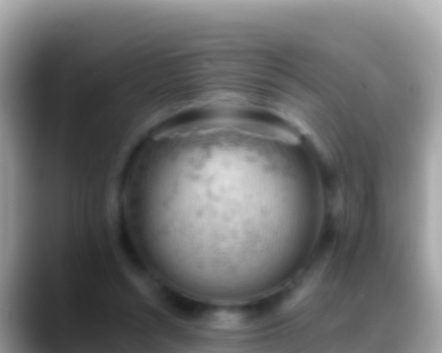 X0000088650352200706011225