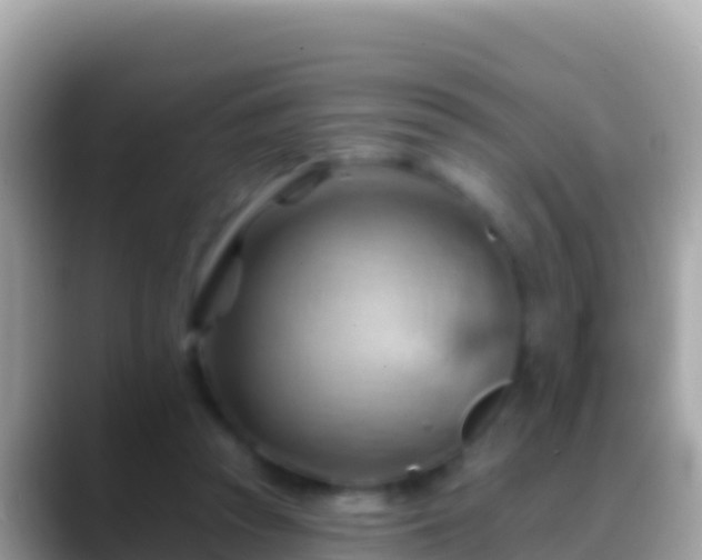 X0000088650353200706011225