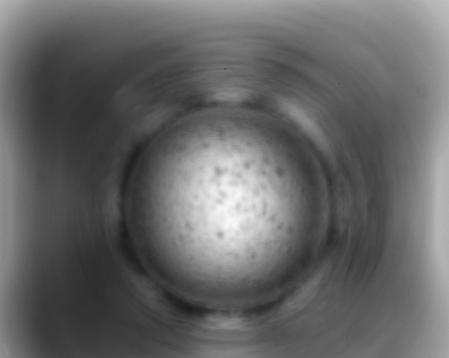 X0000088650354200706011225