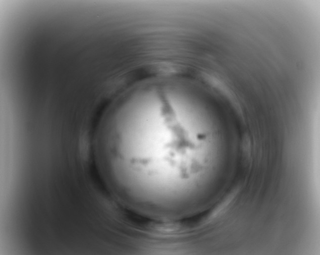 X0000088650359200706011225