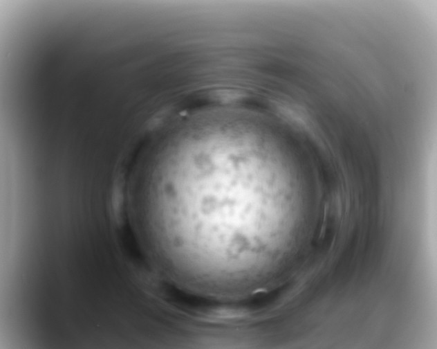 X0000088650360200706011225