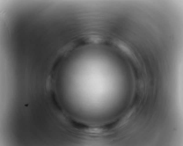 X0000088650361200706011225