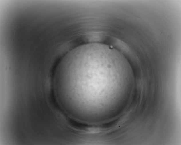 X0000088650362200706011225