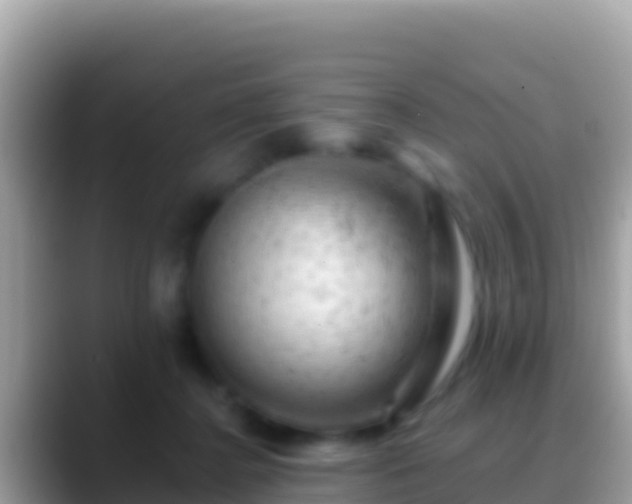 X0000088650364200706011225