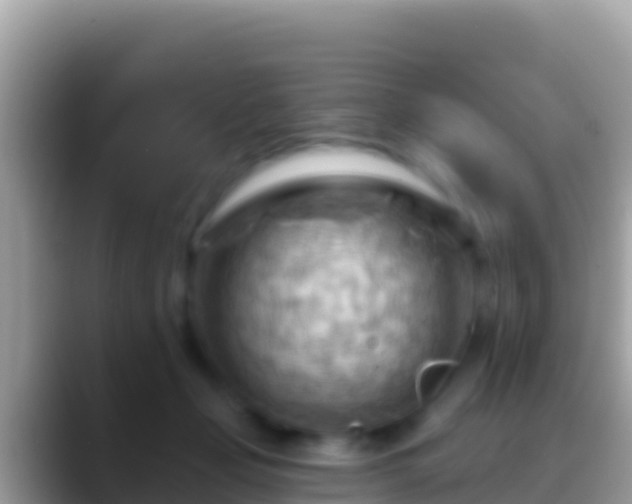 X0000088650365200706011225