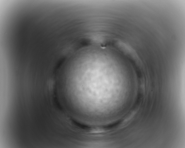 X0000088650369200706011225