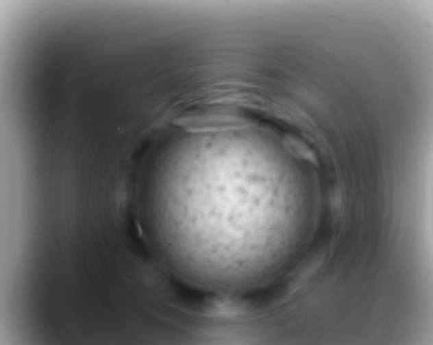 X0000088650372200706011225