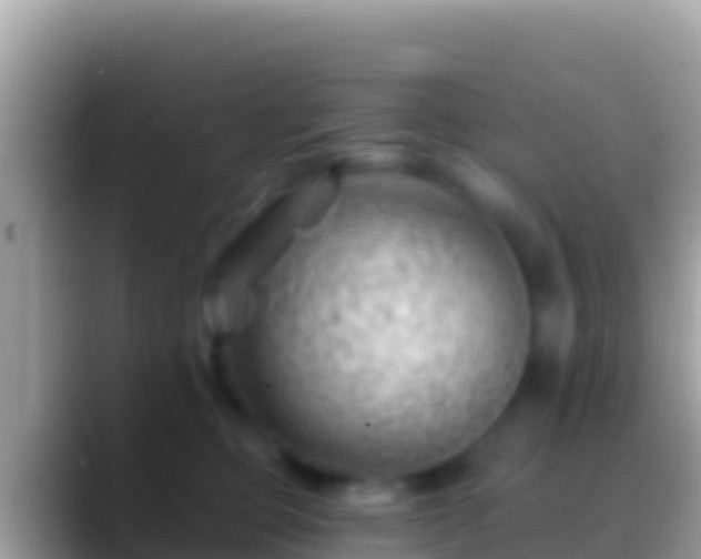 X0000088650373200706011225