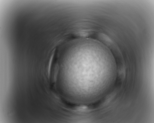 X0000088650374200706011225