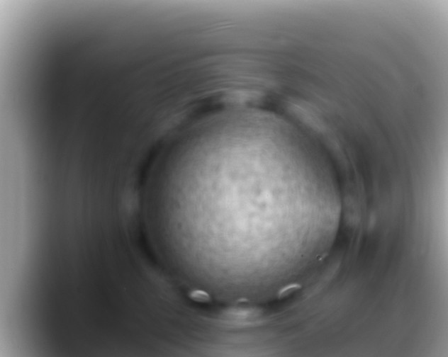 X0000088650375200706011225