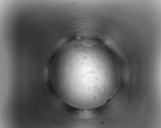 X0000088650378200706011225