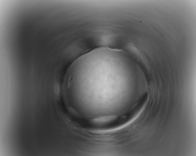 X0000088650380200706011225