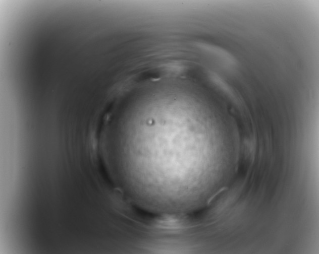 X0000088650381200706011225