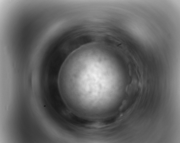 X0000088650383200706011225