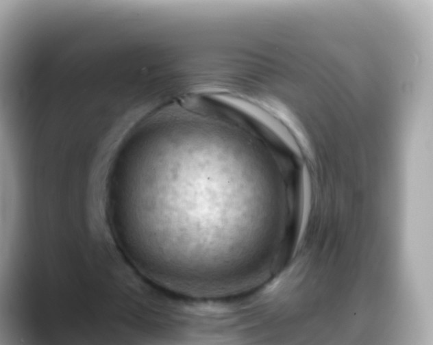 X0000088650385200706011225