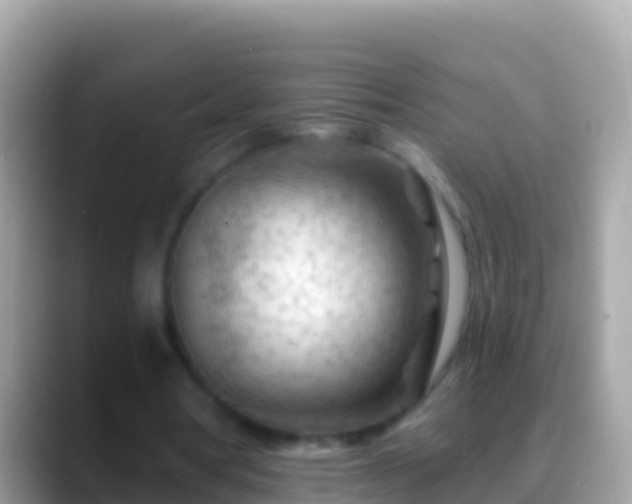 X0000088650386200706011225