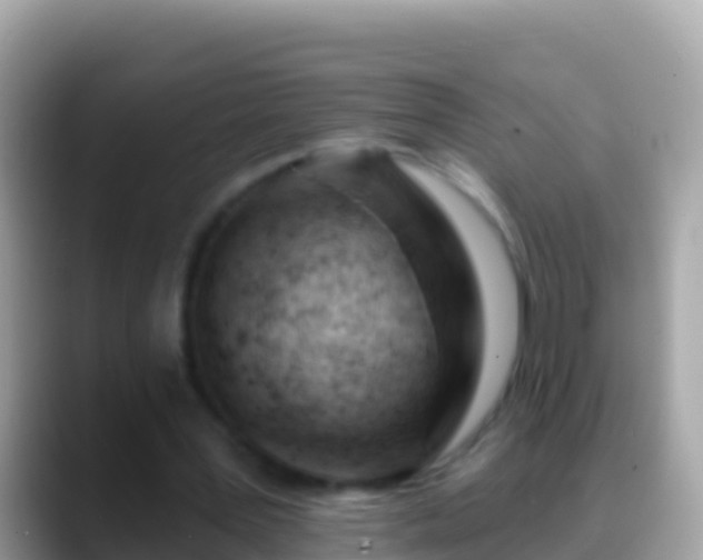 X0000088650387200706011225