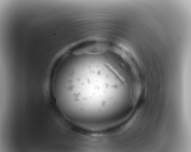 X0000088650388200706011225