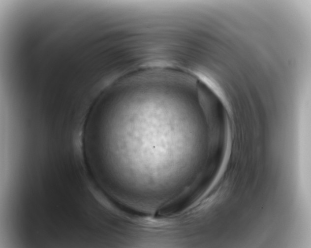 X0000088650389200706011225