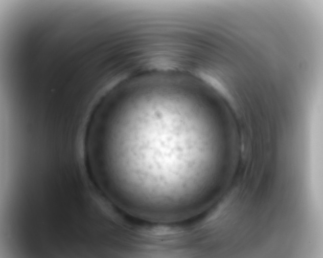 X0000088650390200706011225