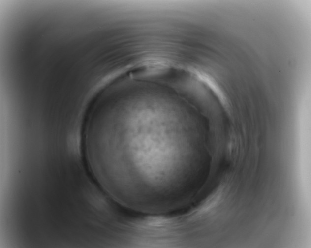 X0000088650391200706011225