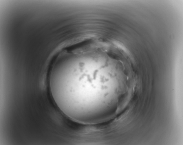 X0000088650392200706011225