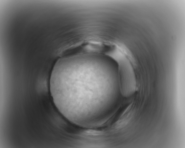 X0000088650393200706011225