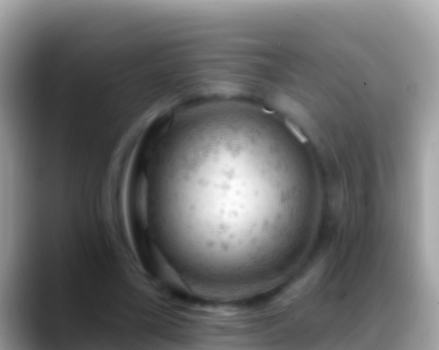 X0000088650395200706011225