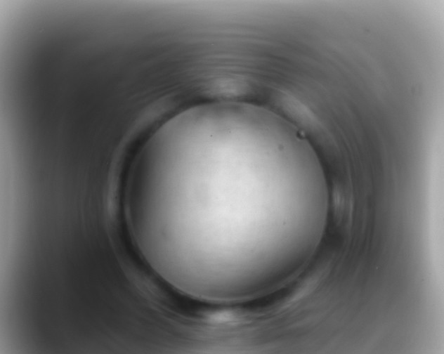 X0000088650396200706011225