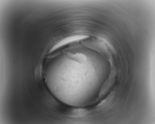 X0000088650397200706011225