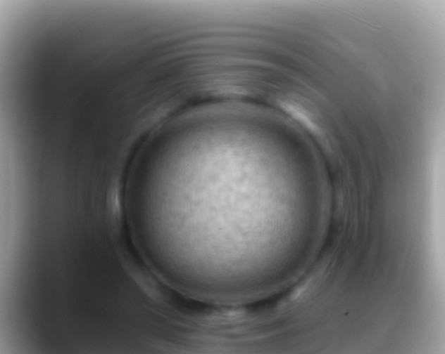 X0000088650398200706011225