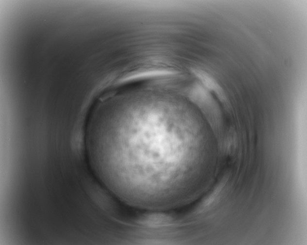 X0000088650399200706011225