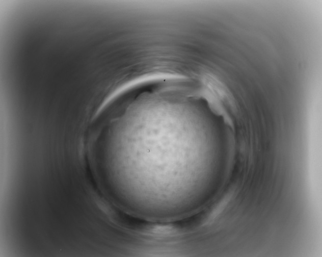 X0000088650401200706011225