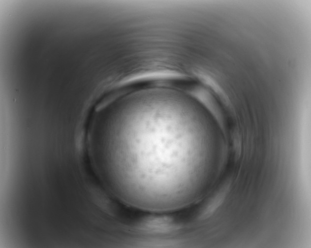 X0000088650403200706011225