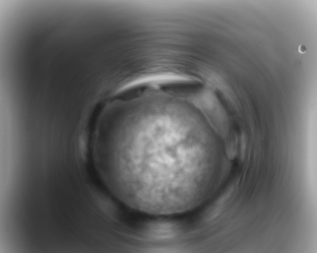 X0000088650404200706011225