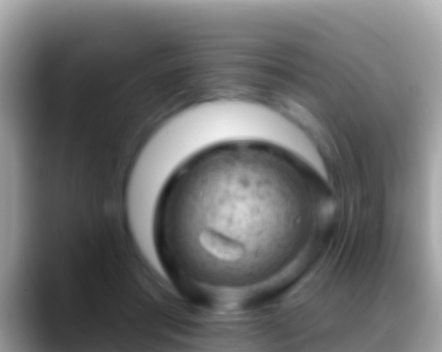 X0000088650405200706011225