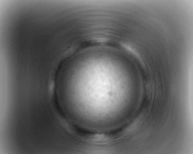 X0000088650406200706011224