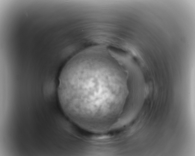 X0000088650407200706011224