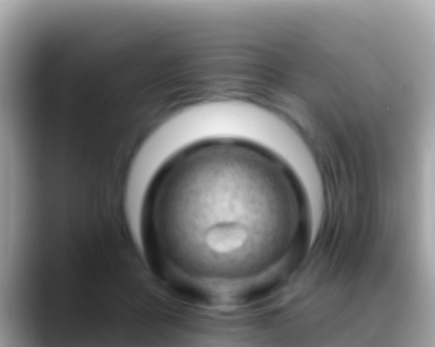 X0000088650411200706011224