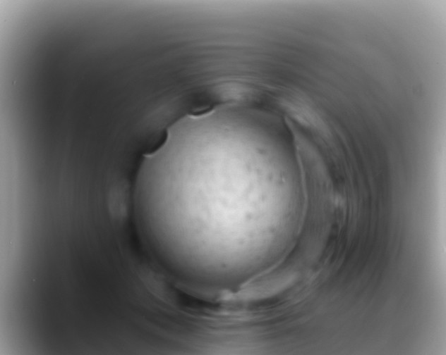 X0000088650413200706011224