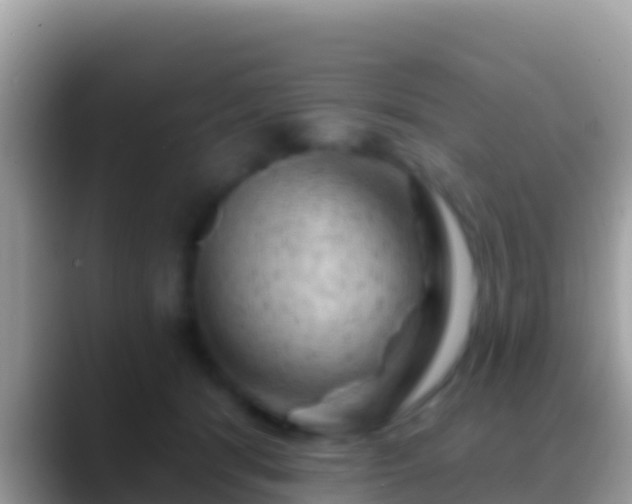 X0000088650416200706011224