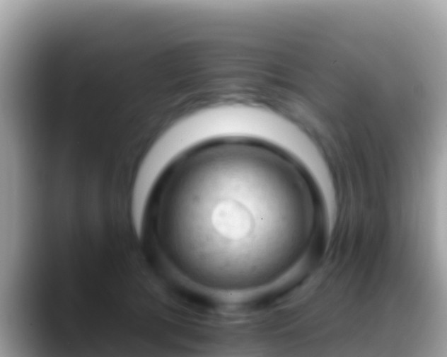 X0000088650417200706011224