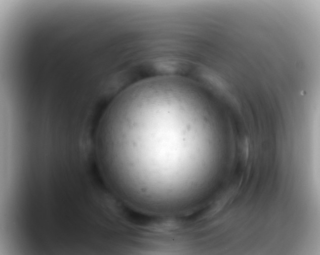 X0000088650418200706011224