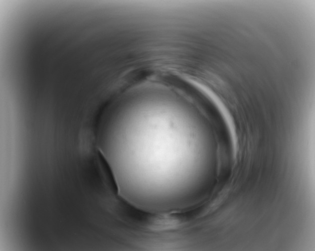 X0000088650421200706011224