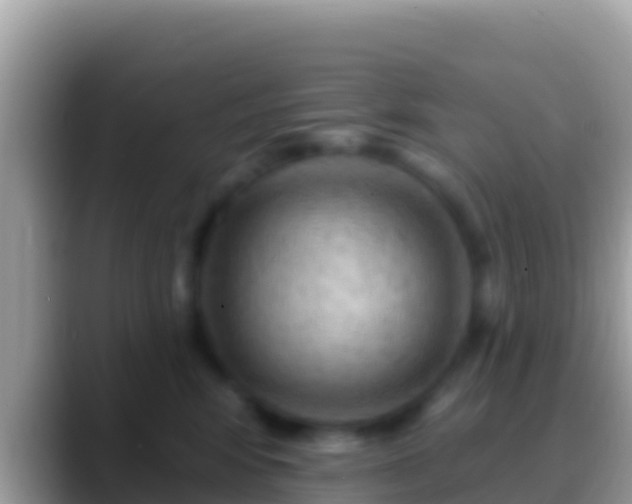 X0000088650424200706011224